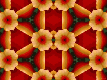 Kaleidoscope Geometry Pattern From Nature 66