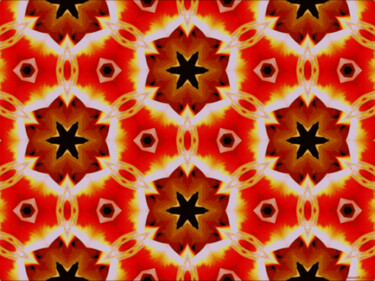 Kaleidoscope Geometry Pattern From Nature 67