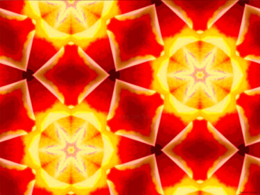 Kaleidoscope Geometry Pattern From Nature 68