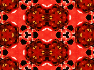 Kaleidoscope Geometry Pattern From Nature 69