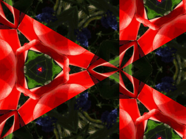 Kaleidoscope Geometry Pattern From Nature 70