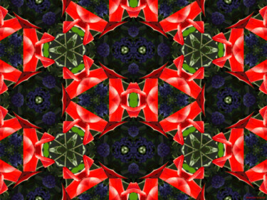 Kaleidoscope Geometry Pattern From Nature 71