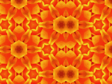 Kaleidoscope Geometric Pattern From Nature 76