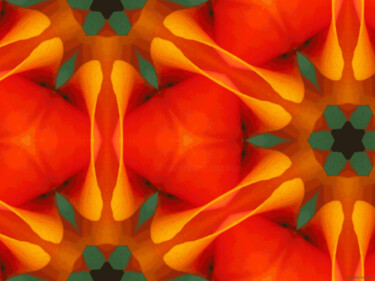 Kaleidoscope Geometry Pattern From Nature 77