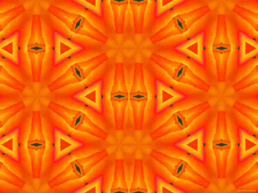 Kaleidoscope Geometry Pattern From Nature 78